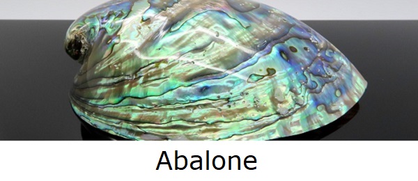 Abaloon schelp en sieraden