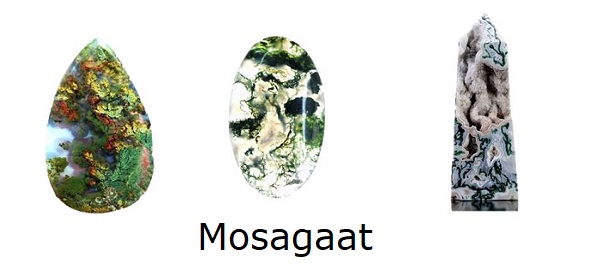 Mosagaat