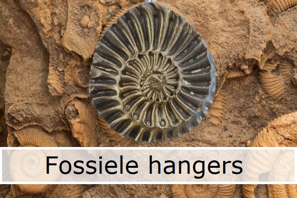 Fossiele hangers ammoniet
