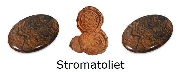 Stromatoliet