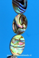 Ovale natuurlijke Abalone kralen 3 x 10 x 14 mm