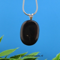 Shungite hanger met een zilver oogje