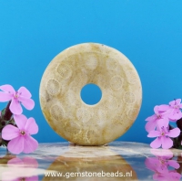 Versteend Koraal donut 40 mm