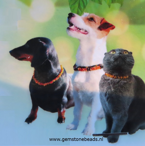 Barnsteen honden en katten ketting met leren band