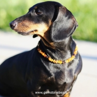 Barnsteen honden en katten ketting met leren band