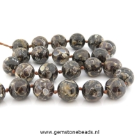 Turitella Agaat kralen rond van 14 mm