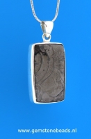 Edel-Shungite hanger 925 van 20 x 30 mm