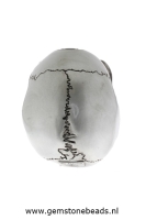 Schedel metallic van ca. 19 x 12 cm
